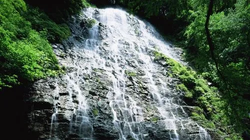 高性能高端精密